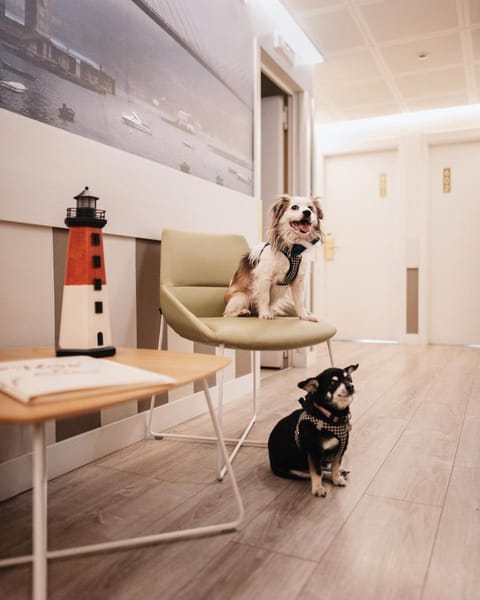 Hotel Atlantico Vigo Hotel in Vigo