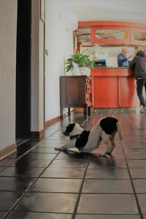 Hotel Galant Hotel in Turin