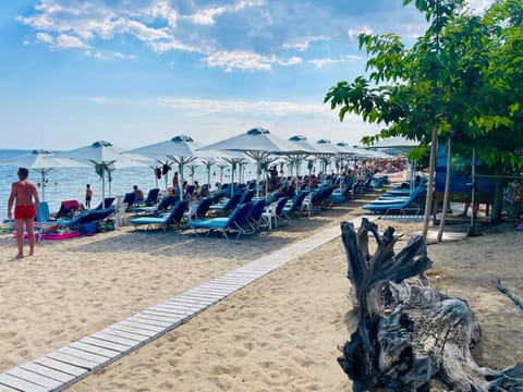 Melissa Gold Coast Hotel in Halkidiki