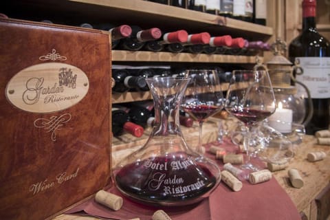 Hotel Alpina Hotel in Canton of Grisons