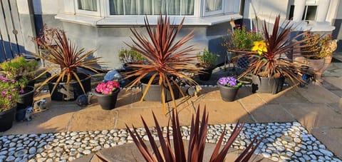 The Aldor Bed and Breakfast in Skegness