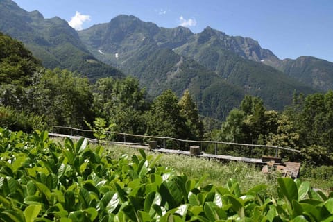 Hotel Antico Hotel in Canton of Ticino