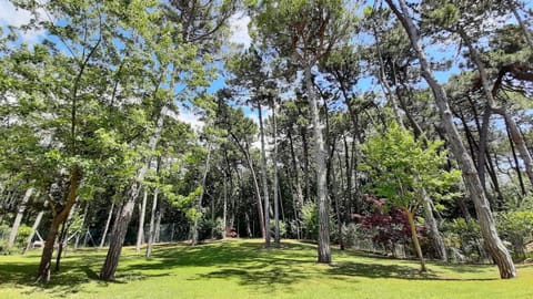 Hotel & Wellness Fra I Pini Hotel in Lignano Sabbiadoro