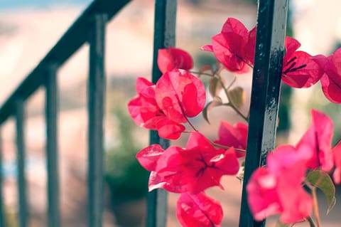 Hotel La Fonda Hotel in Benalmadena