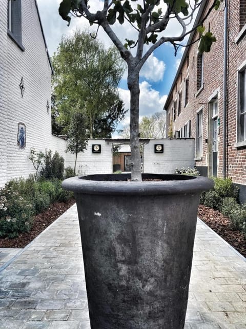 B&B Sterckxhof Bed and Breakfast in Flanders