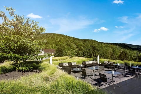 Midori - The Green Guesthouse Hotel in Heidelberg