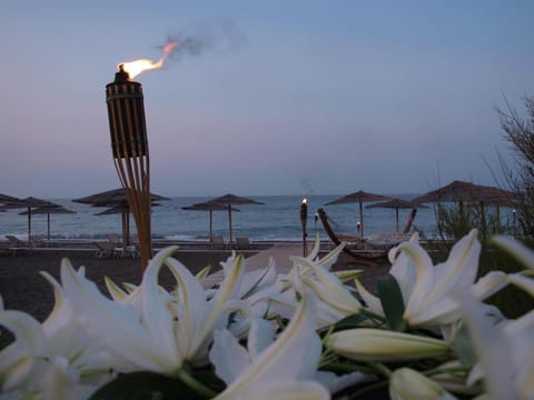 Thalatta Seaside Hotel Hotel in Euboea