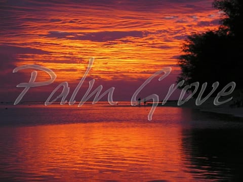 Palm Grove Resort in Takitumu District