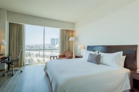 Camino Real Pachuca Hotel in Pachuca