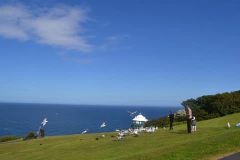 Adelphi Guest House Bed and Breakfast in Douglas