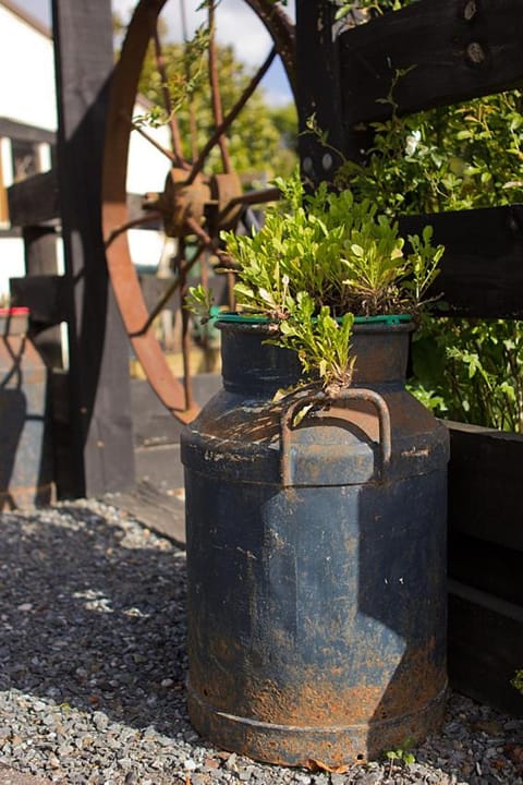 Cambridge Coach House Bed and Breakfast in Cambridge