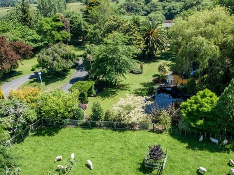 Somersal Bed & Breakfast Bed and Breakfast in Waikato