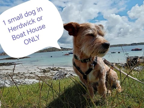 Puddle Duck Lodge – Adults Only Bed and Breakfast in Bowness-on-Windermere