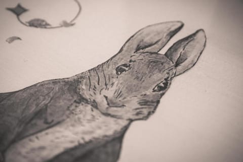 Puddle Duck Lodge – Adults Only Bed and Breakfast in Bowness-on-Windermere