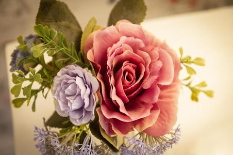 Puddle Duck Lodge – Adults Only Bed and Breakfast in Bowness-on-Windermere