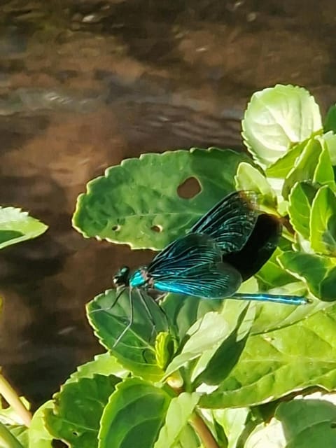 Hotel Kurparkblick Hotel in Rhineland-Palatinate