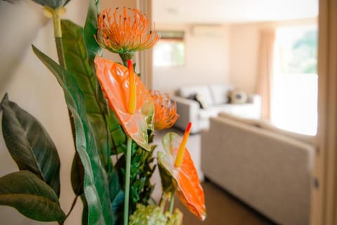 Absolute Bliss Apartments Apartment in Paihia