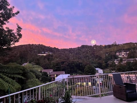 Absolute Bliss Apartments Apartment in Paihia