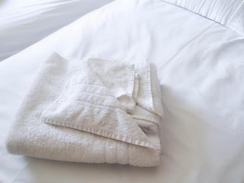 Leaded Light Guest House Bed and Breakfast in Solihull