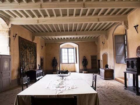 Château des Marcilly Talaru Vacation rental in Auvergne-Rhône-Alpes