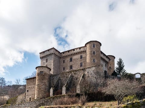 Château des Marcilly Talaru Vacation rental in Auvergne-Rhône-Alpes