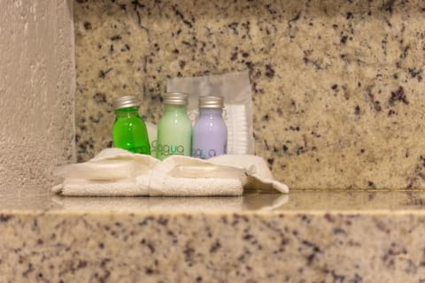 Hotel Flamingo Inn Hotel in Santiago de Queretaro