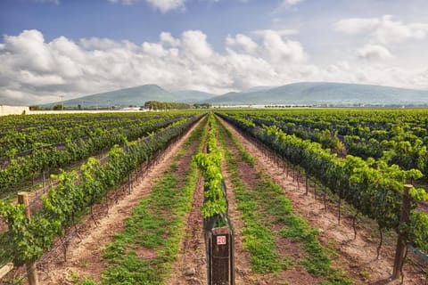 Hotel Rio Tequisquiapan Hotel in Tequisquiapan