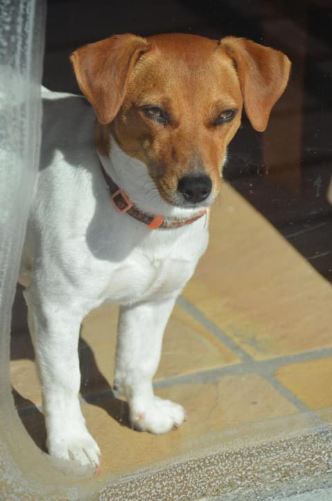 Moonglow Guesthouse Bed and Breakfast in Cape Town