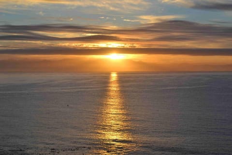 Moonglow Guesthouse Bed and Breakfast in Cape Town