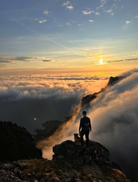 Grønnbuene Rorbu Hotel Hotel in Nordland, Norway