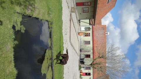 B&B De Zoete Kers Bed and Breakfast in Flanders