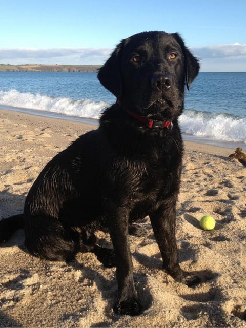 The Waterwheel Hotel in Saint Austell