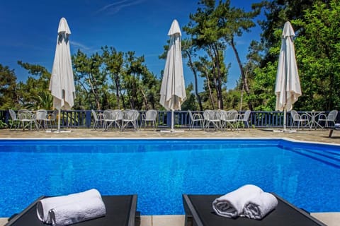 Leandros Hotel Hotel in Halkidiki
