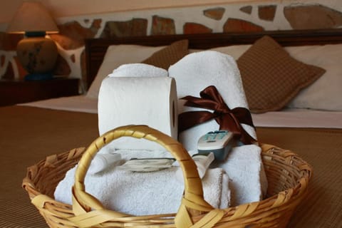 Casa Blanca Tequisquiapan Hotel in Tequisquiapan