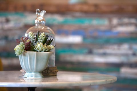 Hermanus Boutique Guest House Bed and Breakfast in Hermanus