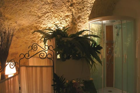 Chambres d'Hôtes Troglodytes Le Clos de L'Hermitage Bed and Breakfast in Amboise