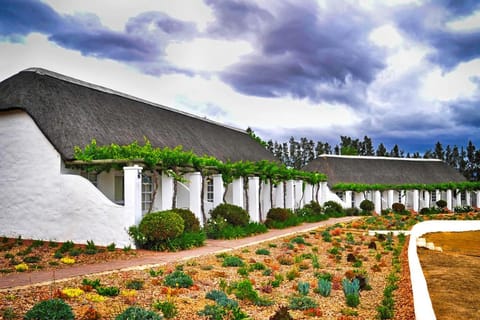 Rijk's Wine Estate & Hotel Hotel in Western Cape