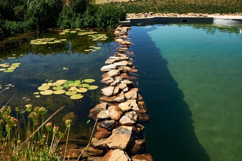 Rijk's Wine Estate & Hotel Hotel in Western Cape