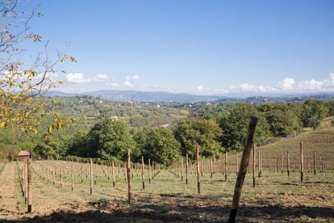Fattoria Il Milione Agriturismo Farm Stay in Florence