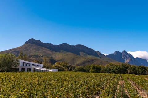 Lanzerac Hotel & Spa Hotel in Stellenbosch