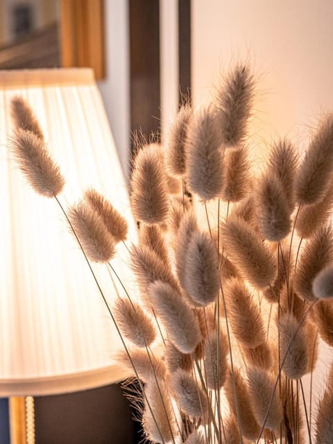 Clos Saint-Martin Bed and Breakfast in Caen