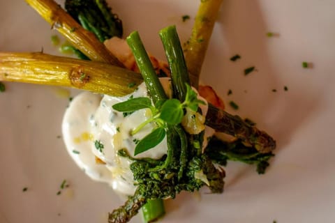 Tysfjord Hotel Campground/
RV Resort in Nordland, Norway