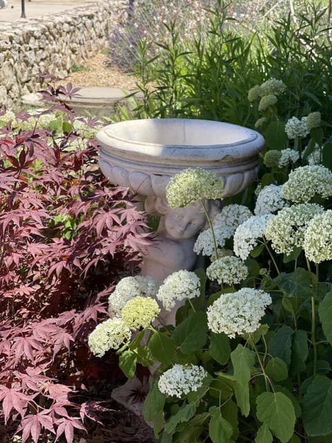 Le Mas Des Chutes Bed and Breakfast in Graveson