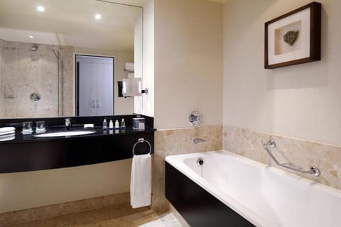 Rotterdam Marriott Hotel Hotel in Rotterdam