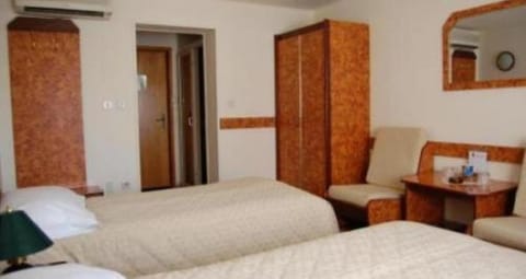 Euro Hotel Hotel in Timisoara