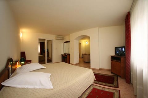 Euro Hotel Hotel in Timisoara