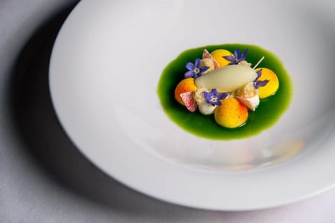 Sheraton Lake Como Hotel Hotel in Como