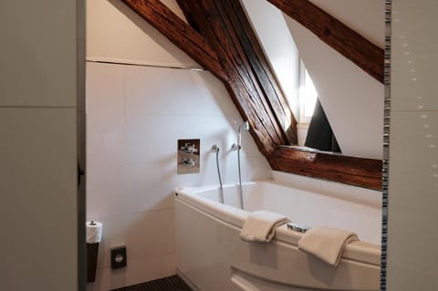 Hôtel & Spa Le Bouclier D'or Hotel in Strasbourg