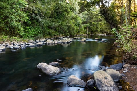 Puketotara Lodge Lodge in Northland