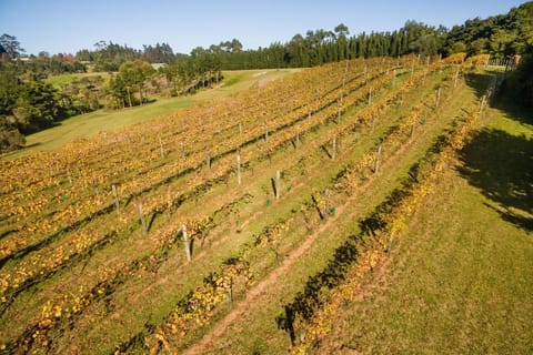 Puketotara Lodge Lodge in Northland